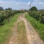 Bán đất 185m2 mặt tiền Hàm Mỹ Phan Thiết 250 triệu - Ảnh thu nhỏ 1