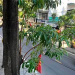 Bán nhà mặt tiền Nguyễn Văn Trỗi Phan Rang 138m2, 2PN, 2.68 tỷ - Ảnh thu nhỏ 3