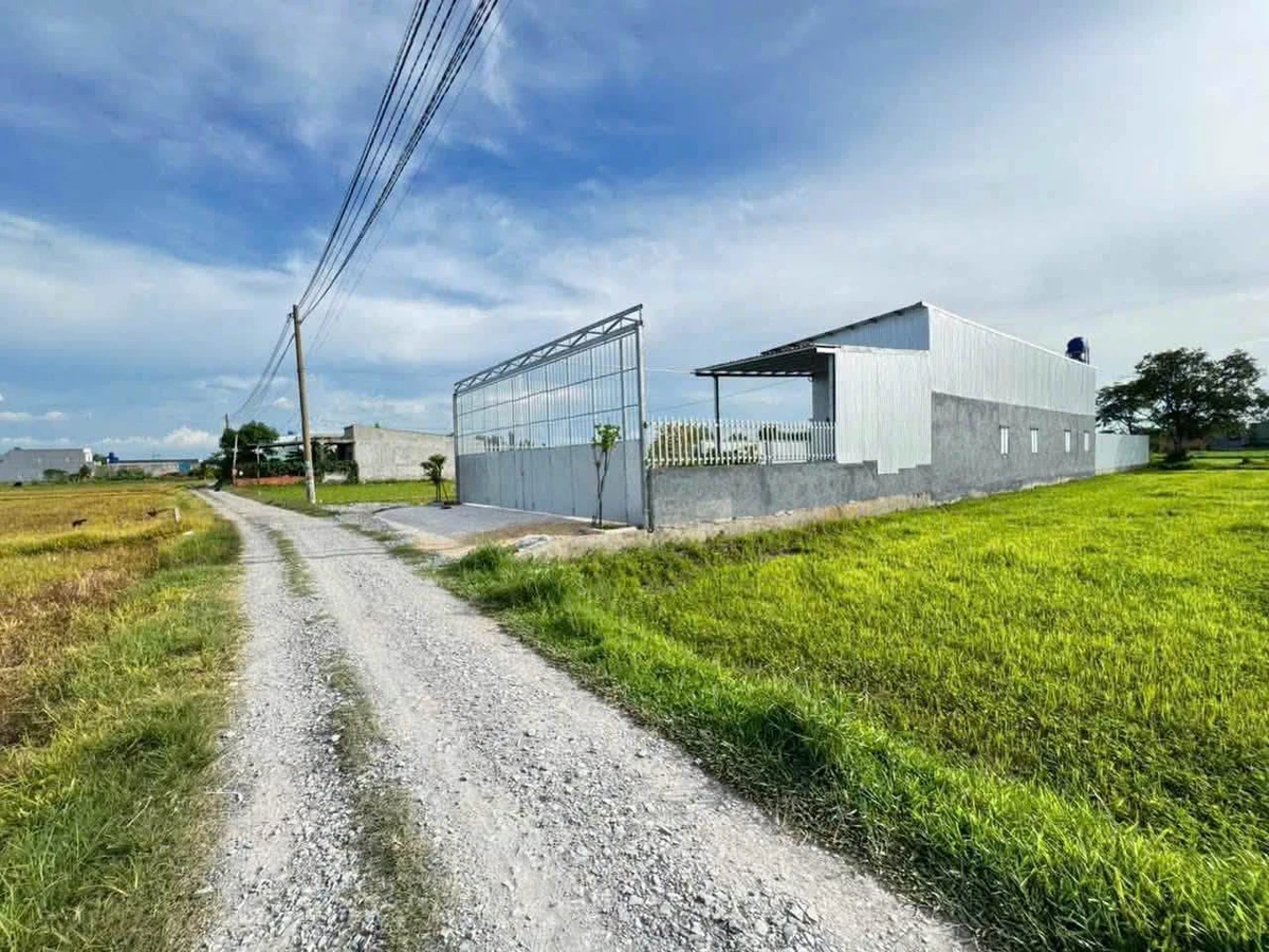 Bán 1000m2 đất vườn có 300m2 thổ cư, sổ hồng riêng, Mỹ Hạnh Nam, Đức Hòa, Long An - Ảnh thu nhỏ 2
