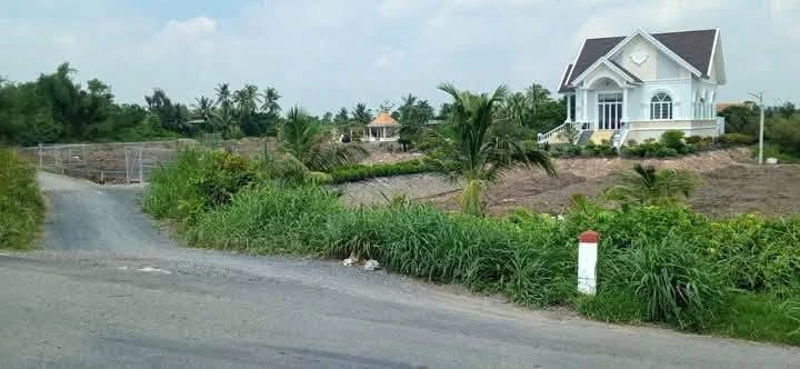 Bán đất vườn 1004m2 mặt tiền Kênh Cá Ngựa Bình Đức - Ảnh thu nhỏ 2