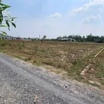 Bán lô đất nền 150m² Mỹ Hạnh Bắc Long An 650 triệu - Ảnh thu nhỏ 5