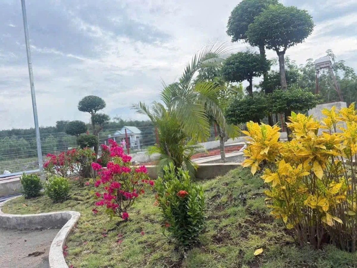 Bán đất vườn 1.800m² Phú Giáo 3 tỷ 490 triệu - Ảnh thu nhỏ 4