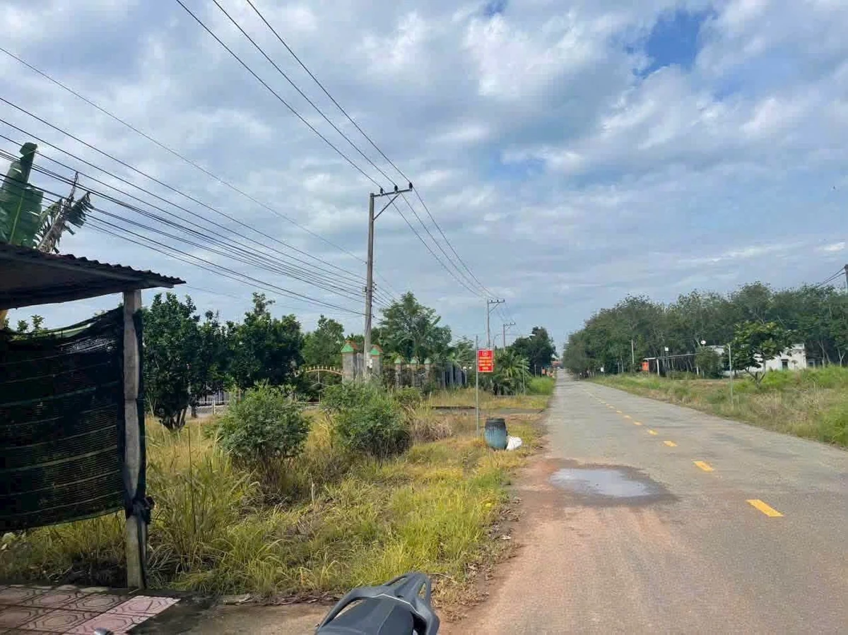 Bán đất SKC mặt tiền ĐH615 Long Nguyên, Bàu Bàng, Bình Dương 4241m2 giá 11 tỷ - Ảnh thu nhỏ 4