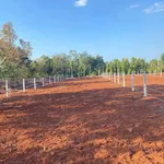 Bán đất hẻm 327 Ymoan 500 m2, 1 tỷ 590 triệu - Ảnh thu nhỏ 2