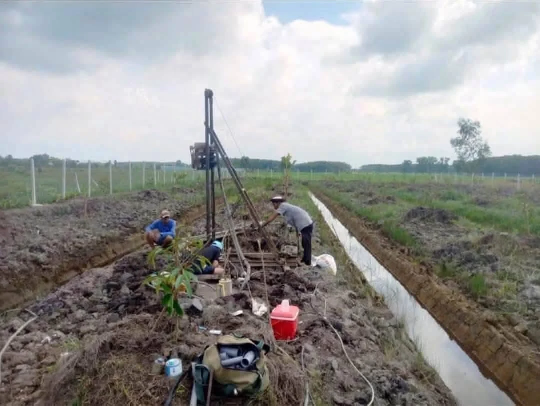 Bán đất vườn sầu riêng 2.248m2 Phú An 3 tỷ 100 - Ảnh thu nhỏ 2
