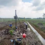 Bán đất vườn sầu riêng 2.248m2 Phú An 3 tỷ 100 - Ảnh thu nhỏ 2