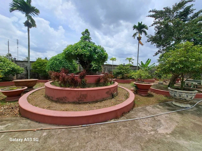 Bán nhà vườn 2200m² gần chợ Gò Đen, Bến Lức, Long An