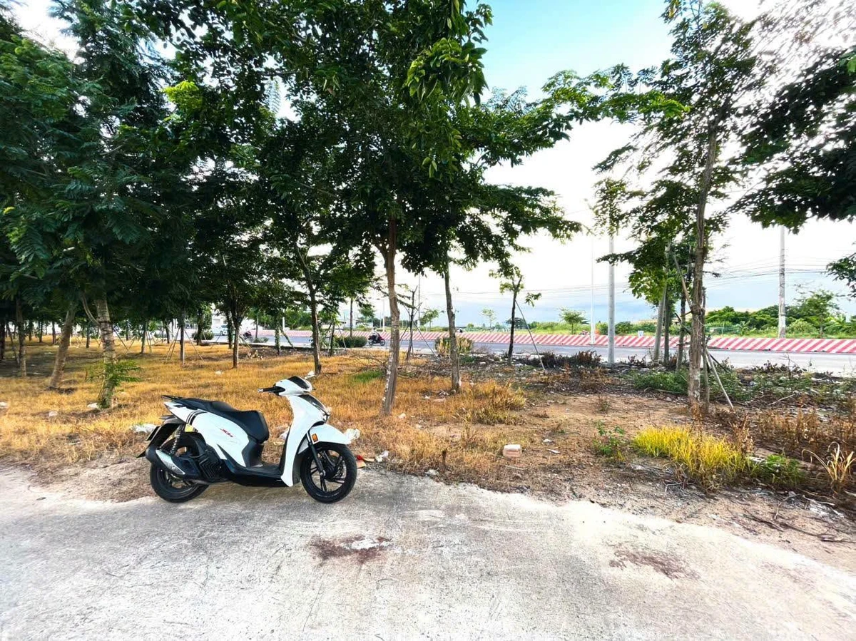 Bán đất Phước Tỉnh 130m² gần biển, trường học 2 tỷ 650 triệu - Ảnh thu nhỏ 4