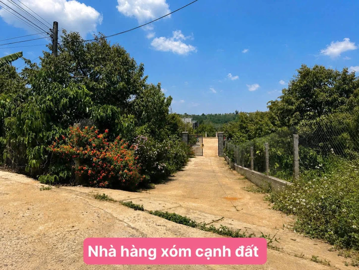 Bán đất nền Hòa Ninh Di Linh 100m² từ 299 triệu - Ảnh thu nhỏ 3
