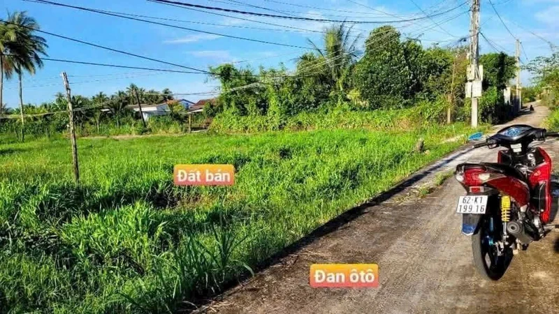 Bán đất thổ cư 5x21 105m2 giá 279 triệu tại Hiệp Thạnh, Châu Thành, Long An