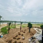 Thấp tầng sát Ciputra chỉ từ 110 triệu/m2 mức giá khó tìm trên thị trường! - Ảnh thu nhỏ 9