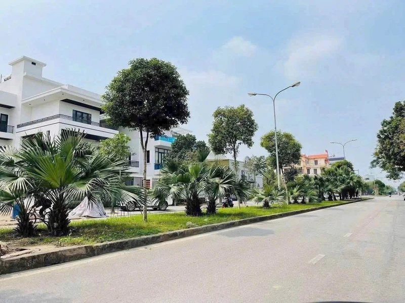 Bán đất biệt thự 250m² mặt đường Phạm Văn Đồng, Hải Dương
