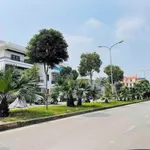 Bán đất biệt thự 250m² mặt đường Phạm Văn Đồng, Hải Dương - Ảnh thu nhỏ 1