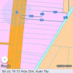 Bán đất mặt tiền đường Xuân Định - Lâm San 1609m2 (140m2 thổ cư) giá 1,85 tỷ - Ảnh thu nhỏ 4