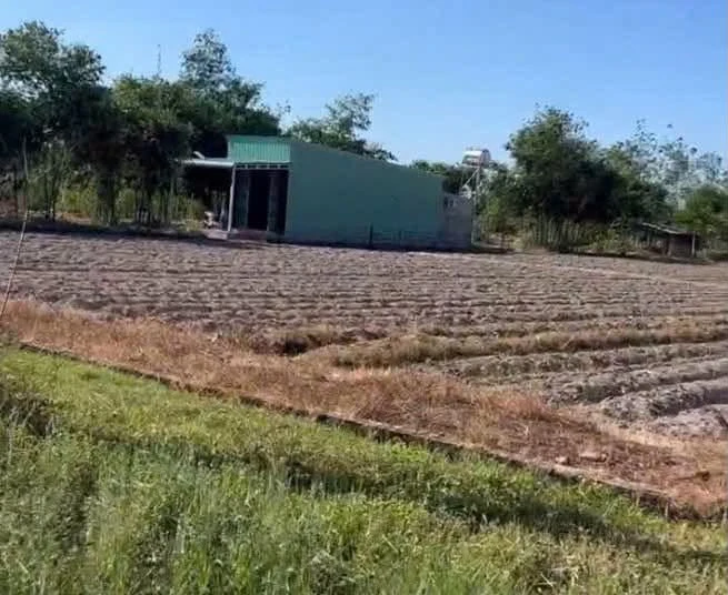 Bán đất 4500m² gần KCN Phước Đông, Bình Chánh - Ảnh thu nhỏ 5