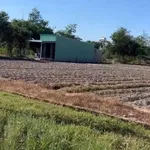 Bán đất 4500m² gần KCN Phước Đông, Bình Chánh - Ảnh thu nhỏ 5