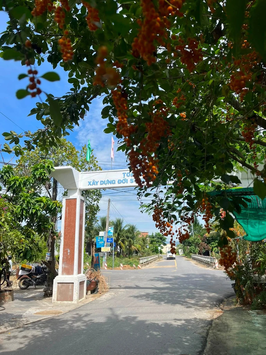 Bán lô đất 219m² Diên Phú gần Nha Trang, phù hợp xây nhà vườn - Ảnh thu nhỏ 2