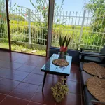 Cần tiền bán gấp lô đất mặt tiền Hồ Tràm giá 1,59 tỷ (có thổ cư) - Ảnh thu nhỏ 8