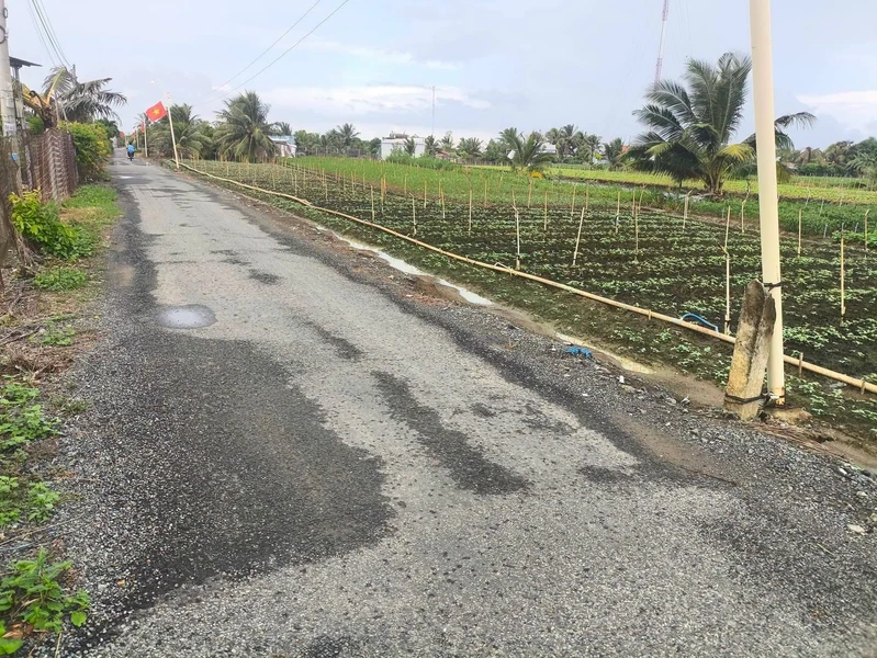 Bán đất mặt đường 750m² Gò Công Đông Tiền Giang 900 triệu