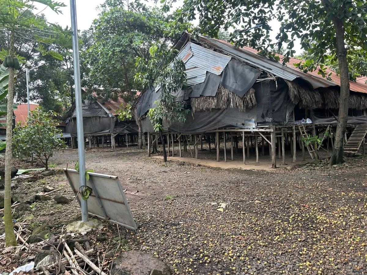 Bán 2 mảnh đất 716.9m² + 4716.9m² Quang Trung Đồng Nai - Ảnh thu nhỏ 2
