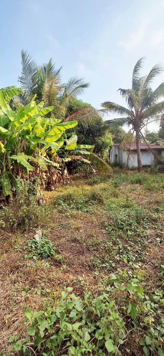 Bán đất 2400m² thổ cư 200m² Bình Thuận, Bình Thạnh - Ảnh thu nhỏ 5