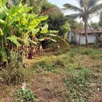 Bán đất 2400m² thổ cư 200m² Bình Thuận, Bình Thạnh - Ảnh thu nhỏ 5