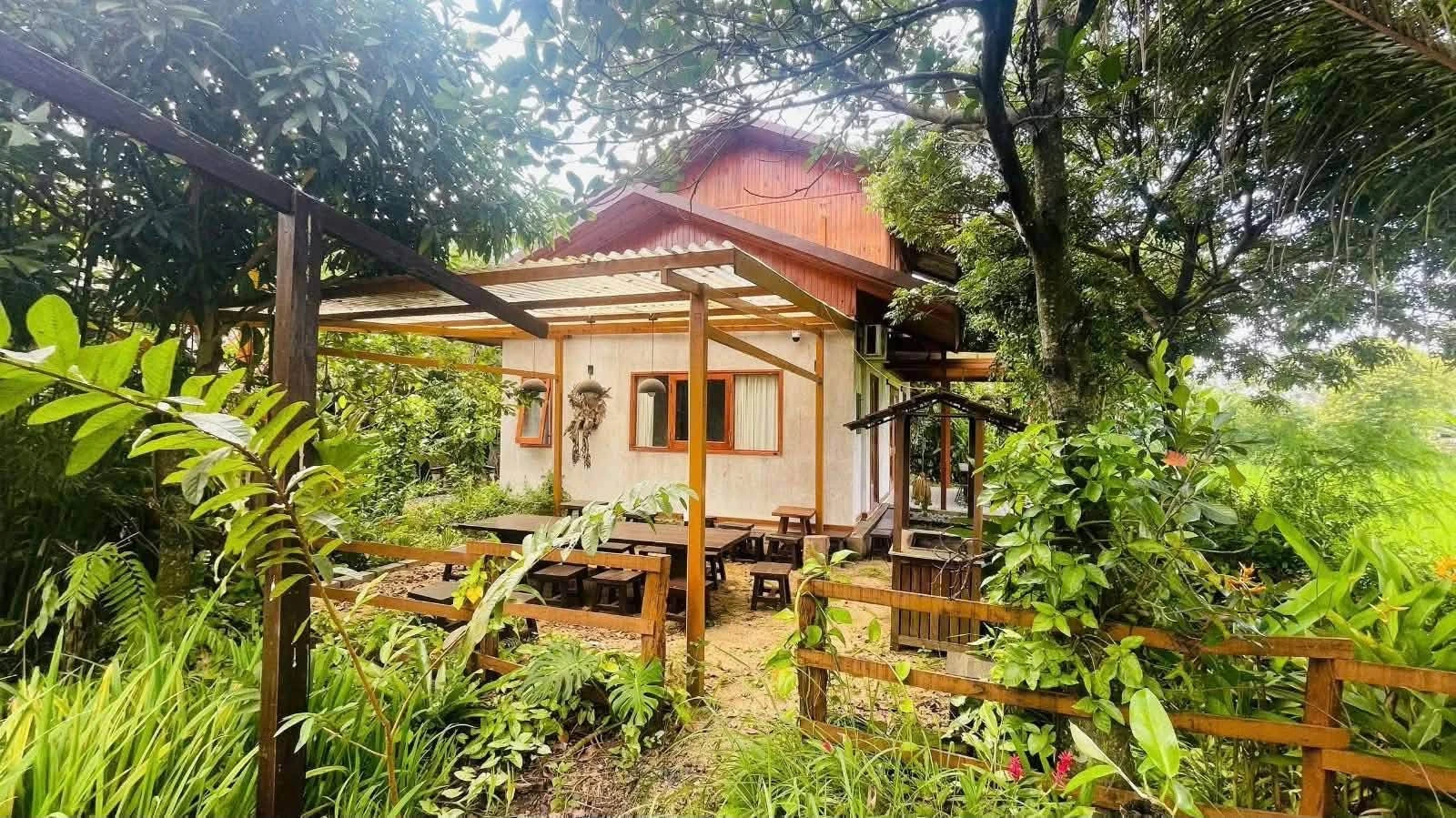 Bán khu homestay 2.320m² Buôn Ma Thuột 9 tỷ 9 - Ảnh 1