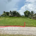 Bán lô đất thổ cư 100% 224m² Tân Mỹ Đức Hoà Long An - Ảnh thu nhỏ 1