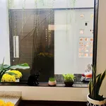 Bán nhà 1T1L 90.6m2 Tôn Đức Thắng Lâm Đồng - Ảnh thu nhỏ 2