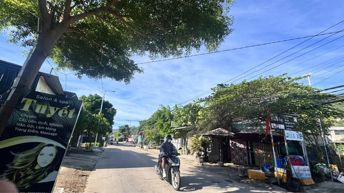 Bán lô đất mặt tiền Phong Châu 281m2, 6 tỷ 7 - Ảnh thu nhỏ 5