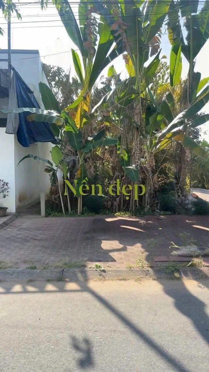 Bán nền đất 4x25m (100m²) Sóc Trăng 1 tỷ 20 triệu - Ảnh thu nhỏ 2