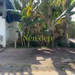 Bán nền đất 4x25m (100m²) Sóc Trăng 1 tỷ 20 triệu - Ảnh thu nhỏ 2
