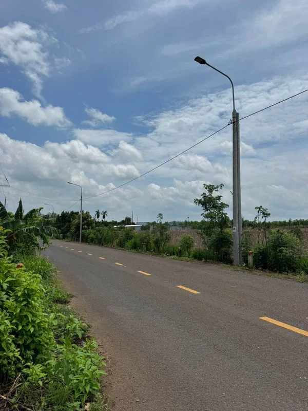 Bán đất 2500m2 nhà vườn nghỉ dưỡng Cẩm Mỹ
