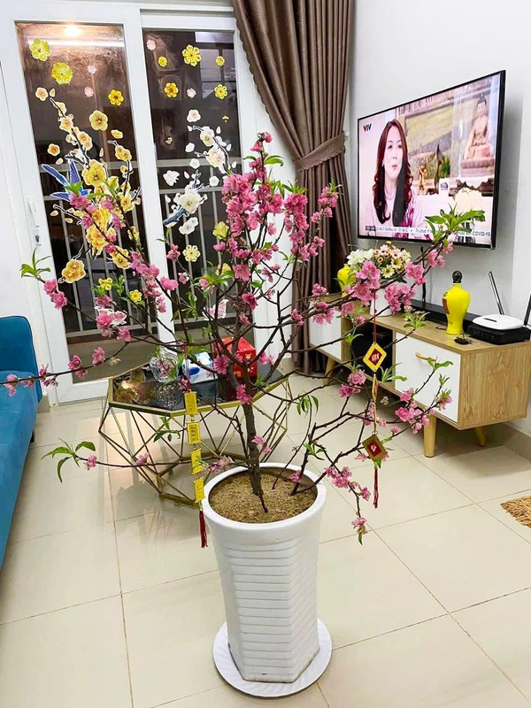 Bán căn hộ Simona 2PN, 49m² Quy Nhơn, giá 1 tỷ 350