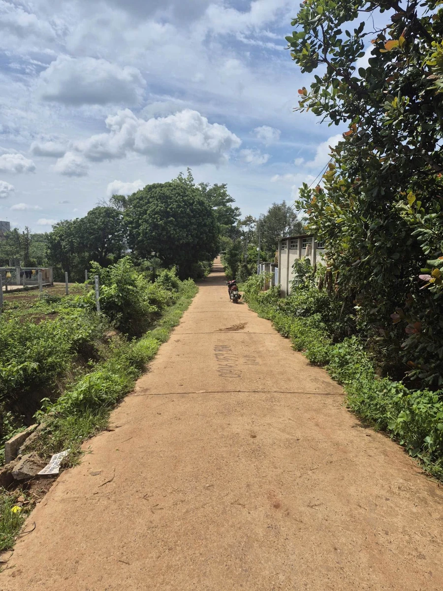 Bán đất 5x10m, 50m² thôn 4 Cư Bua, Bình Chánh, 790 triệu - Ảnh thu nhỏ 3