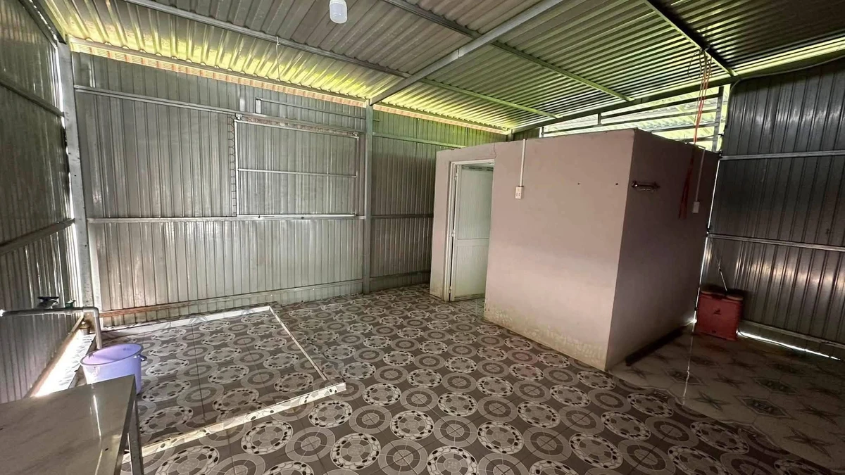 Bán đất nền mặt tiền 240m² Long Thạnh, Thủ Thừa, Long An - 1,5 tỷ - Ảnh thu nhỏ 3