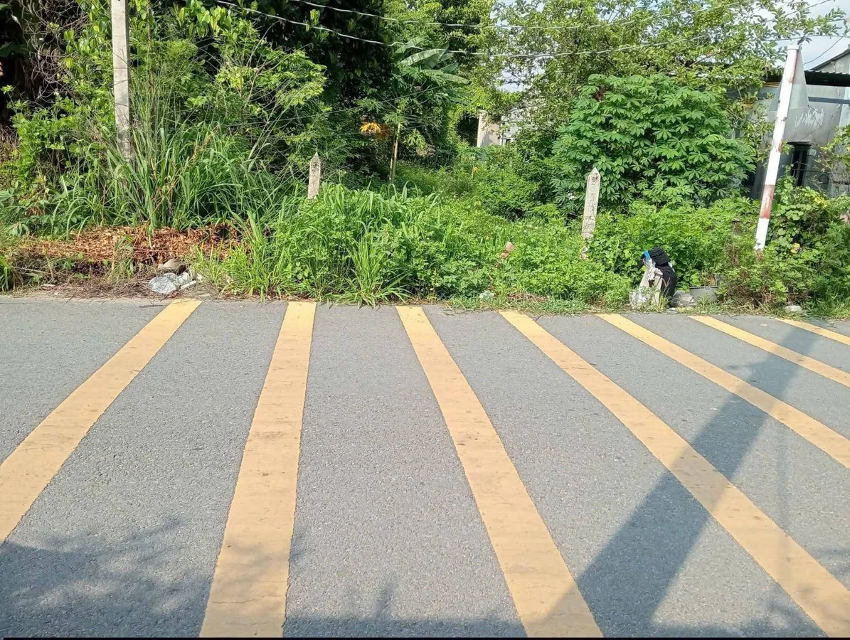 Bán đất thổ cư 7x44 đường nhựa 6m giá 2 tỷ gần chợ Thùng Thơ, Phường Phú An - Ảnh thu nhỏ 4