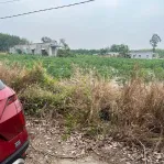 Kẹt tiền bán gấp 507,2m2 đất gần khu công nghiệp Minh Hưng, dân cư đông, giá 500 triệu - Ảnh thu nhỏ 6