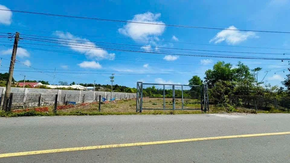 Bán đất 1865m2 Phước Hải, cách biển 3km, giá 7.5 tỷ - Ảnh thu nhỏ 3