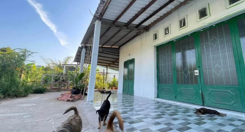 Bán nhà cấp 4 425m2, 4 phòng ngủ, hẻm TL833 Cầu Tổng Uẩn, Tân An
