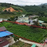 Bán đất Đạm Rông 1 Lâm Đồng 8000m2, 2 tỷ 250 triệu - Ảnh thu nhỏ 4