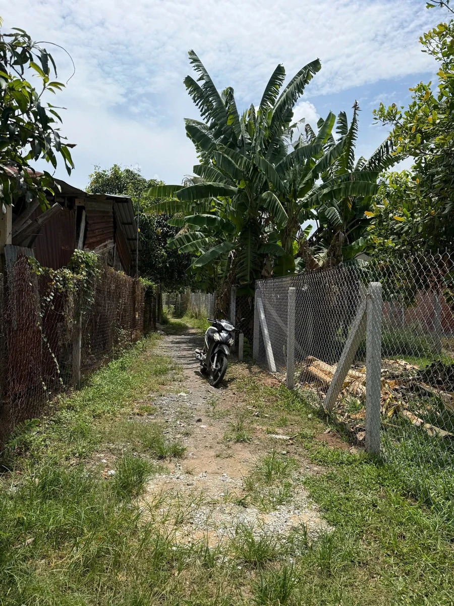 Bán đất nền Tây Ninh 8.5×33m, 280m² giá 460 triệu - Ảnh thu nhỏ 3