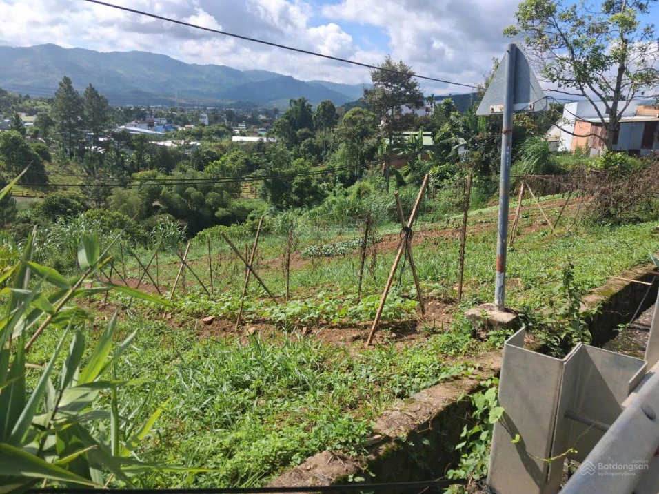 Bán đất Lộc Châu Bảo Lộc 2 lô mặt tiền Lê Thị Riêng, view thung lũng, đất ở sẵn - Ảnh thu nhỏ 5