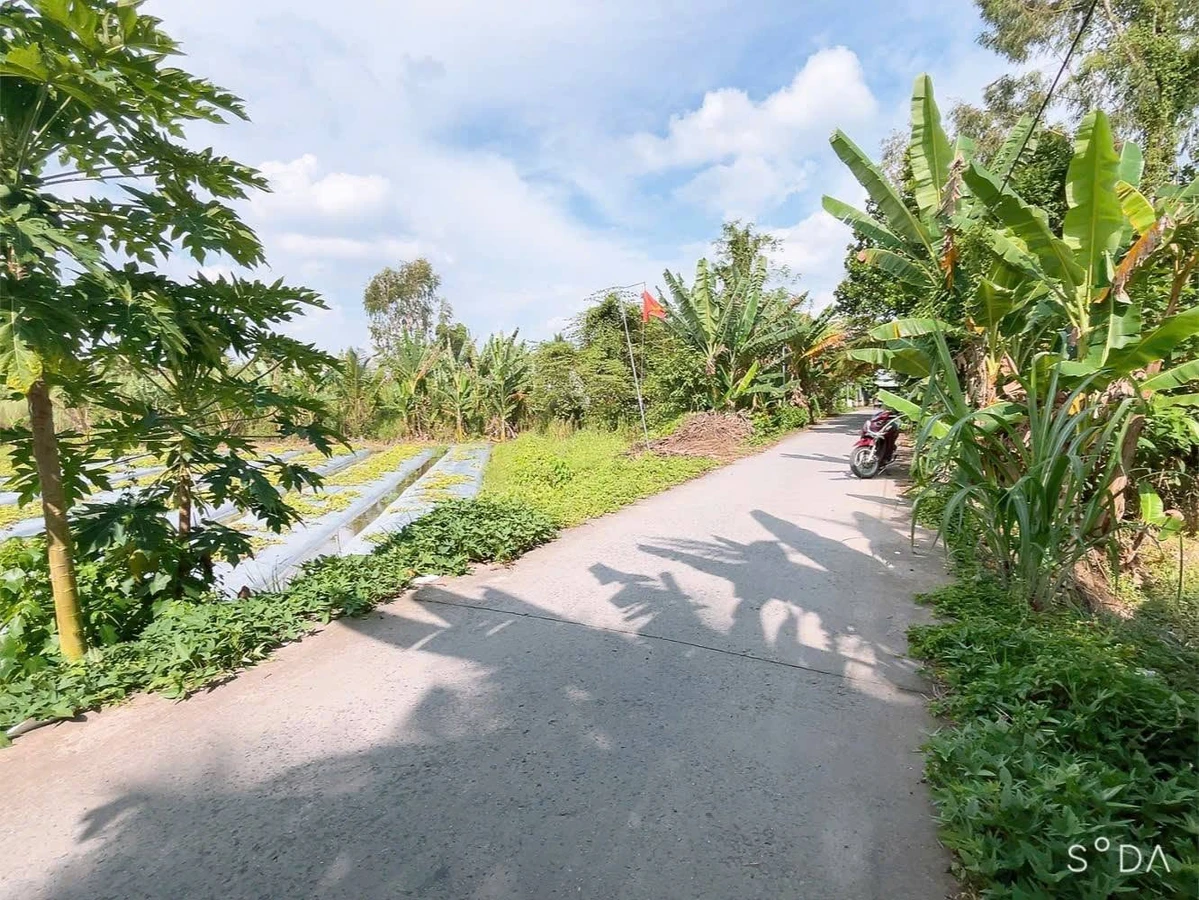 Bán 3000m2 đất lúa cách Đại học Nam Cần Thơ 700m, giá 2,8 tỷ/1000m2 - Ảnh thu nhỏ 2