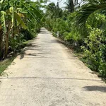 Bán đất vườn dừa 1160m² Phú Tân Cần Giờ 1 tỷ 700 triệu - Ảnh thu nhỏ 5