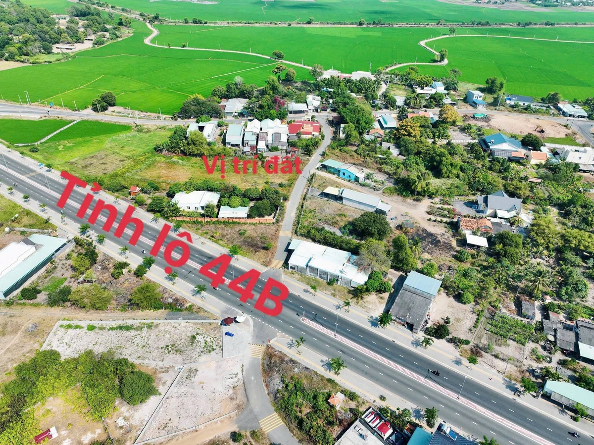 Bán 2 lô đất liên kề Phước Hải 136.5m² + 132.2m² giá 1.25 tỷ - Ảnh thu nhỏ 3