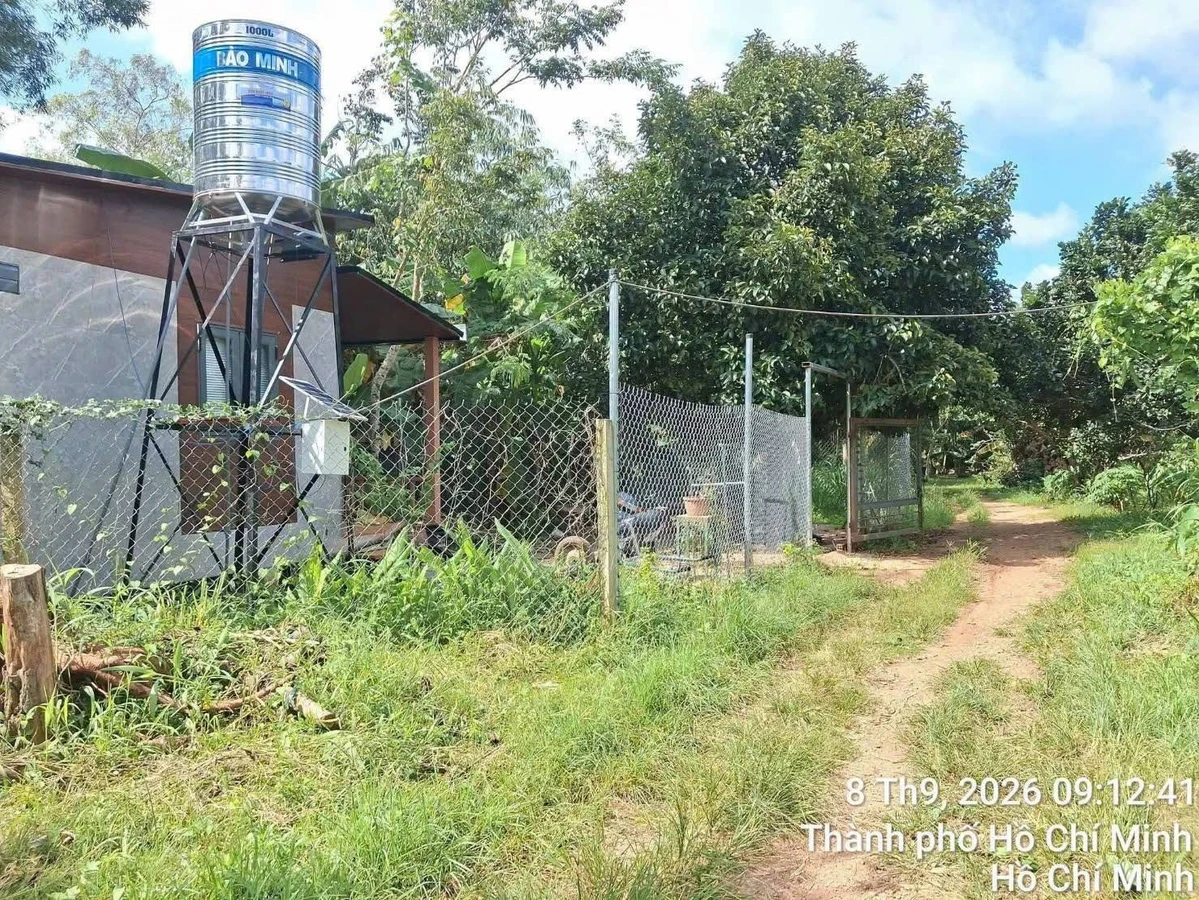 Bán đất nhà vườn 1000m2 view suối ở Bà Rịa - Vũng Tàu - Ảnh thu nhỏ 5