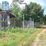 Bán đất nhà vườn 1000m2 view suối ở Bà Rịa - Vũng Tàu - Ảnh thu nhỏ 5