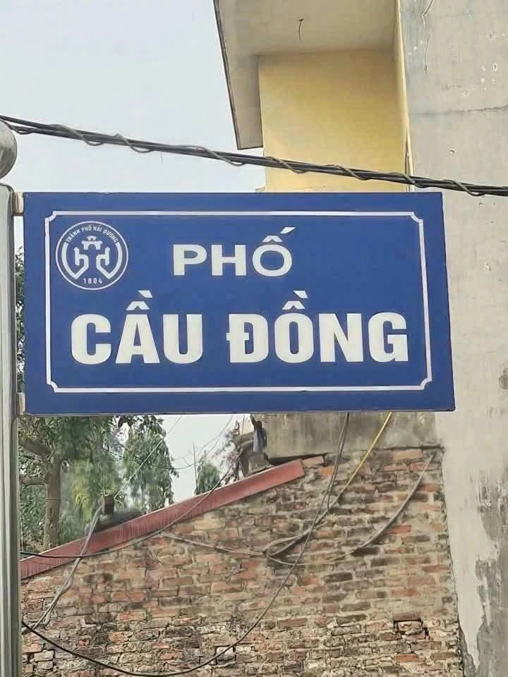 Bán đất mặt phố Cầu Đồng 82.5m² Hải Dương 1.42 tỷ - Ảnh 1