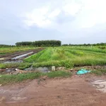5x25 full thổ. Gần Nông trường Cao su Cầu Khởi. 195tr hết đất - Ảnh thu nhỏ 1